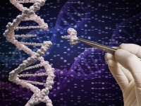 REVOLUCIJA U GENETICI: Japanski naučnici otkrili način kako da uklone uzrok Downovog sindroma