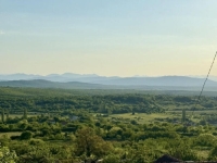 GODIŠNJICA PONOVLJENOG ZLOČINA U HERCEGOVINI: Njemačka vojska i ustaše 1943. likvidarale su više od 60 Bošnjaka, 50 godina kasnije, pripadnici HVO-a i HV-a su...