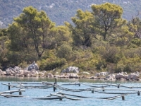 LOŠE VIJESTI IZ DUBROVAČKO-NERETVANSKE ŽUPANIJE: More na plaži ovog gradića zagađeno fekalijama, do daljnjeg se...