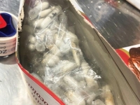 ŠOK NA AERODROMU: Carinici pregledali pristigle pošiljke, a onda su se uhvatili za glave...