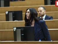 OZBILJNA KAO PEČAT: Vulićka najavila da će donijeti zmije u zgradu Parlamentarne skupštine BiH - 'Kad kažem da ću napraviti cirkus...'