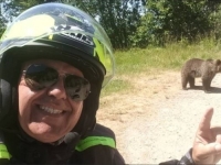 NEODGOVORNI TURISTA SNIMIO POSLJEDNJE TRENUTKE SVOG ŽIVOTA: Medvjedica ga odvukla u šumu i rastrgala na komade
