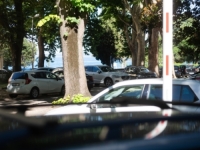 U ZADRU PARKIRALI AUTO BEOGRADSKIH TABLICA: Napravili su im nezamislivo