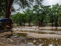 STRAVIČNE POPLAVE U AMERIČKOJ DRŽAVI: Treći dan traje potrage za djecom iz kampa, najmanje 67 mrtvih