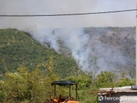 POŽAR KOD STOCA UGAŠEN:  Brzom intervencijom vatrogasaca spriječena veća šteta