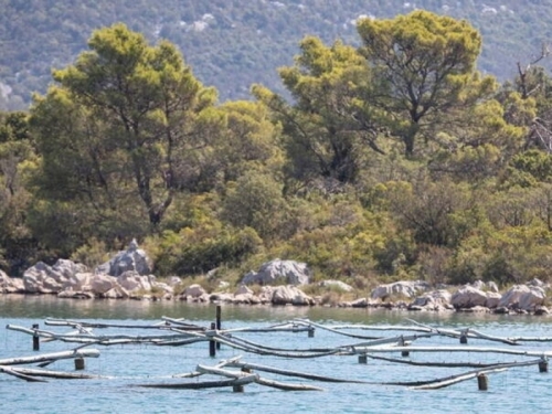 LOŠE VIJESTI IZ DUBROVAČKO-NERETVANSKE ŽUPANIJE: More na plaži ovog gradića zagađeno fekalijama, do daljnjeg se...