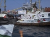 'MOJE SRCE JE UZ VAS': Preživjeli Holokausta podržao Flotilu slobode za Gazu