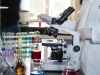 STANJE KAO U DOBA KORONE: Opasan virus se širi Kinom