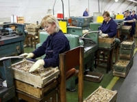 DONESENA KLJUČNA ODLUKA: Vanredna revizija ulazi u vojnu industriju FBiH