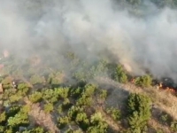 VATRA OKOVALA CRNU GORU, POŽARI DIVLJAJU!: Pljušte hapšenja širom zemlje, apokaliptični prizori iznad omiljenih ljetovališta: Vojska na ulicama, u ovom dijelu NEMA STRUJE I VODE