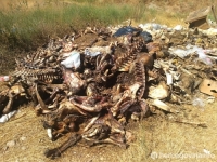 PRIZORI STRAVE I UŽASA: Pogledajte šta su građani Stoca zatekli na nelegalnoj deponiji uz obalu Bregave, HDZ-ov gradonačelnik ignoriše problem.... (FOTO)