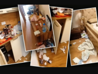 'DOŠLO MI JE DA PLAČEM': Dragana iz Budve izdala apartman turistima, pa nakon njihovog odlaska DOŽIVJELA ŠOK
