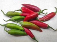 SAD JE NJEZINO VRIJEME: Brojne su blagodati za zdravlje, ne biste vjerovali za šta je sve dobra ljuta paprika…
