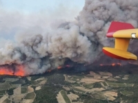 VATROGASCI NEMOĆNI: Francuskom haraju najveći šumski požari u posljednjih 80 godina (FOTO, VIDEO)