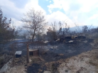 SREĆA U NESREĆI: Veliki požar u neumskom zaleđu ugasila kiša