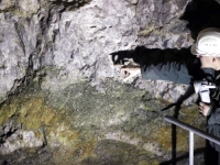 AKTIVISTI IZ BiH I SRBIJE UJEDINJENI: 'Ne damo rijeke, šume i zrak' (VIDEO)