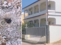 NIJEMCI DALI 2.500 EURA ZA ODMOR U HRVATSKOJ, OD PRIZORA SKORO POVRATILI: O scenama bruji cijela zemlja