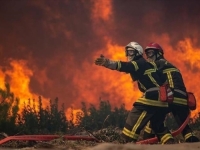 ŽENA (76) PRIZNALA DA JE PODMETULA 11 POŽARA: Prijeti joj kazna zatvora do 10 godina