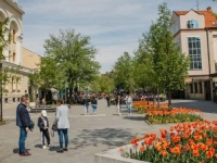 ZABRINJAVAJUĆI PODACI: U RS duplo više umrlih nego rođenih