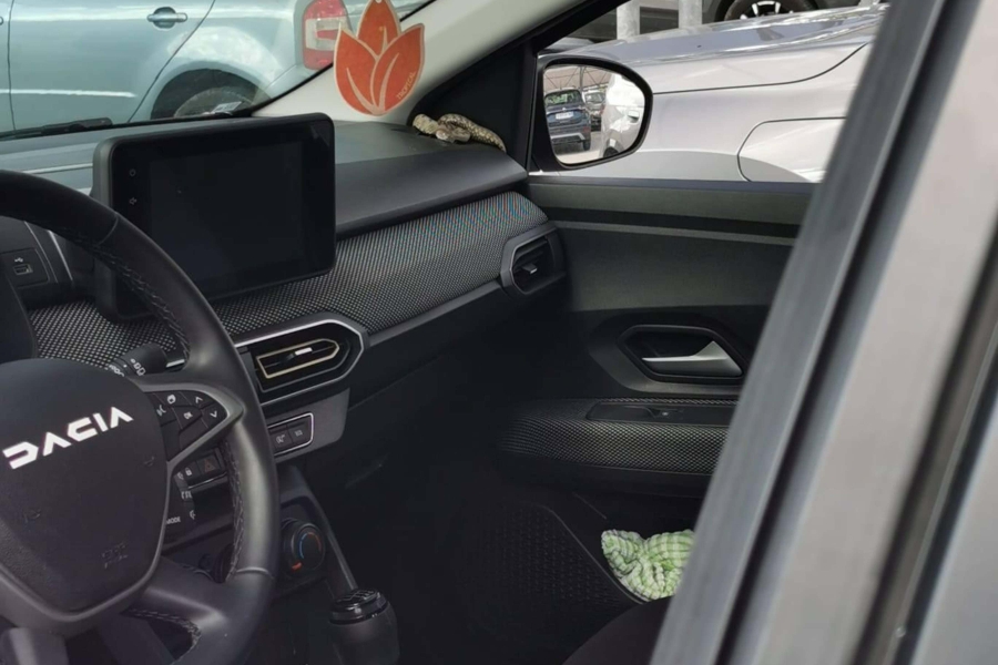 VOZAČ OTVORIO VRATA I OSTAO U ŠOKU: U automobilu ga 'čekala' najotrovnija europska zmija