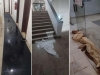 STRAVIČNI PRIZORI IZ BH. GRADA: Ugroženi životi djece iz Tuzle (VIDEO)