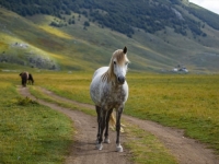 NEVJEROVATNI PRIZORI: Zavirite u najviše stalno naseljeno selo u Bosni i Hercegovini...