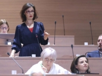 KOMENTAR ZASTUPNICE U HRVATSKOM SABORU: 'Optužiti Srbe za specijalni ekonomski rat protiv Hrvatske je novo dno...'