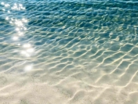 STANOVNICI U ŠOKU: Ogromno misteriozno stvorenje isplivalo na popularnu britansku plažu (FOTO)
