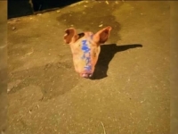 U TOKU SU SASLUŠANJA: U Srbiji uhapšeno 11 osoba zbog postavljanja svinjskih glava ispred džamija u Parizu