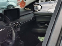 VOZAČ OTVORIO VRATA I OSTAO U ŠOKU: U automobilu ga 'čekala' najotrovnija europska zmija