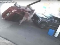 ČUDA SE DOGAĐAJU: Ovaj krš i lom obojica su preživjela samo s lakšim povredama (VIDEO)
