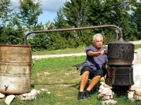 ŠLJIVOVICA NAŠA MUČENICA: Kako se dobra rakija pravila i od suhih šljiva. Zašto je jedan fratar, iz reda Trapista, morao iz Banja Luke pobjeći u Afriku