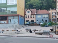 GRAĐANI UZNEMIRENI: Goražde suočeno s problemom zbrinjavanja pasa lutalica