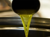 U OŠTROJ MEĐUNARODNOJ KONKURENCIJI: Zlatne i srebrne medalje za maslinova ulja iz Bosne i Hercegovine...