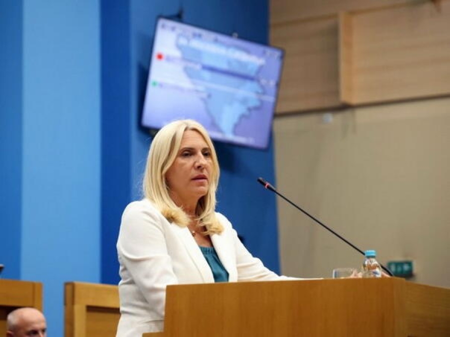 ŽELJKA SE POSIPA PEPELOM: 'Dovijamo se, zakone donesemo, pa povučemo…'