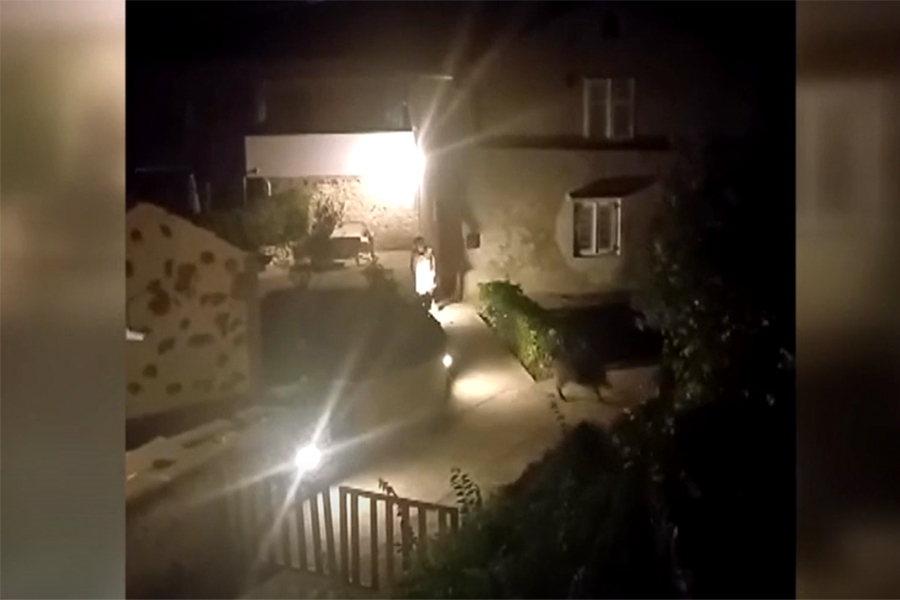 MJEŠTANI U STRAHU, NOĆU NE IZLAZE VAN: Nadzorne kamere snimile nepozvane goste, više se ni ne kriju...