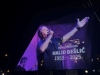 ODLUKA VLADE KS: U ponedjeljak Dan žalosti povodom smrti Halida Bešlića