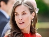 NENAMETLJIVO GLAMUROZNA KOMBINACIJA: Kraljica Letizia spojila 'zabranjene' boje i uvjerila nas da ove hlače vrijedi imati u ormaru (FOTO)