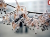 ZAKOVALO NA MINUS 4: Zimsko jutro u Bosni i Hercegovini, najniža temperatura izmjerena u...