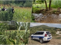 ISPRATILA MUŽA U VRT, VRATILI JOJ GA U KOVČEGU: 'Bili smo 60 godina u braku, zašto?'