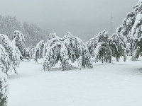 DA JANUAR POZAVIDI OKTOBRU: Snijeg pada širom BiH kao u sred zime (VIDEO)