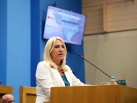 ŽELJKA SE POSIPA PEPELOM: 'Dovijamo se, zakone donesemo, pa povučemo…'