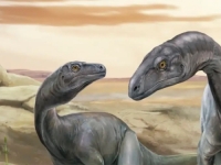 SENZACIONALNO OTKRIĆE: Pronađen gotovo u potpunosti očuvani kostur nove vrste dinosaura, živio je prije....