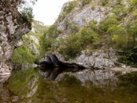 UŽAS NA ISTOKU DRŽAVE: Vozilo sletjelo u kanjon Rzava, u toku potraga