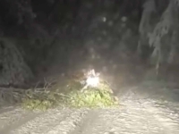 NEVJEROVATNI PRIZORI U SUSJEDSTVU: Snijeg ne prestaje padati, putevi zameteni, pod teretom pada drveće... (FOTO, VIDEO)