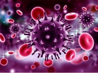 VELIKO OTKRIĆE: Sada znamo gdje i kako se smrtonosni virus skriva po tijelu čovjeka...