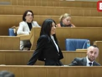 I NEK' SE SANJA VULIĆ DOBRO PRIPREMI: Za isti dan zakazane tri sjednice Predstavničkog doma PS BiH na kojima će se raspravljati...