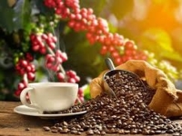 SVE ZBOG KLIMATSKIH PROMJENA: Cijena ove vrste kafe dostiže rekord, regioni koji je proizvode u Brazilu...