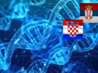 DOKAZI SU NEPOBITNI: Naučnici analizirali DNK Srba i Hrvata, došli do značajnog otkrića