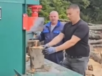 'OPA, USPIO SAM': Nenad Nešić se 'zaposlio' kao drvosječa (VIDEO)